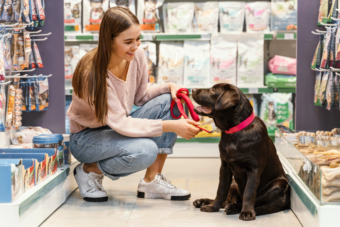 2024 Top-Rated Pet Store Products: A Comprehensive Review