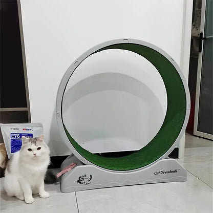 Indoor Cat Roller Treadmill