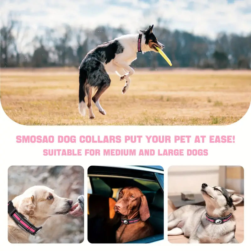 Pro AirTag Dog Collar