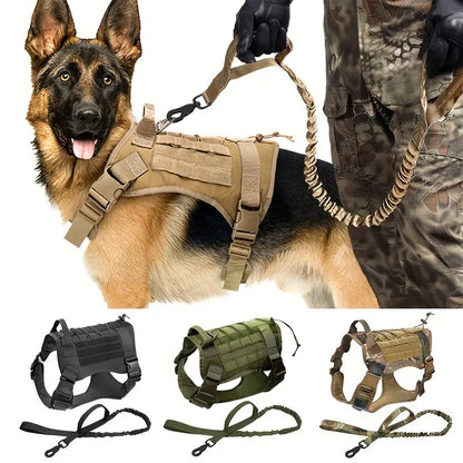 Dog Harness And Leash Set