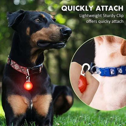 Bright LED Collar Tracker