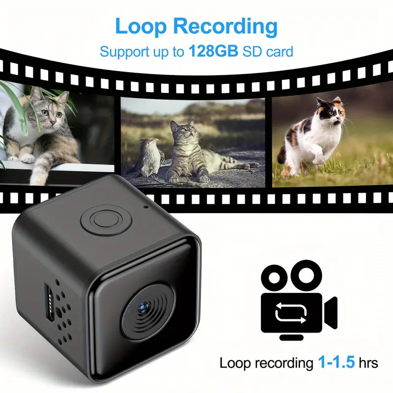 Cat Camera Collar With Video Record