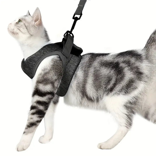 Escape-Proof Cat Harness and Leash Set