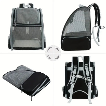 Traveler Bubble Backpack