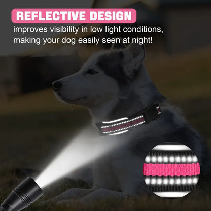 Pro AirTag Dog Collar