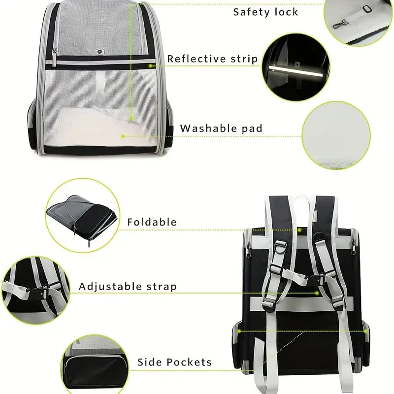 Traveler Bubble Backpack