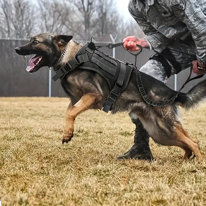 Dog Harness And Leash Set