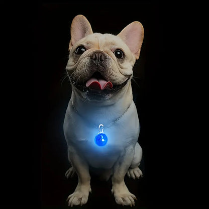 Bright LED Collar Tracker