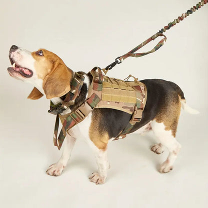 Dog Harness And Leash Set