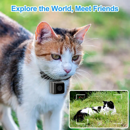 Cat Camera Collar With Video Record